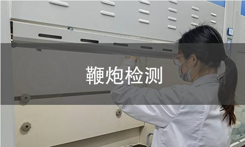 鞭炮检测