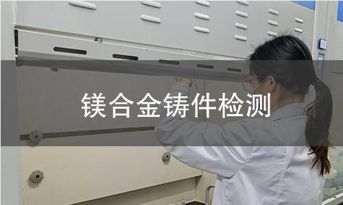 镁合金铸件检测