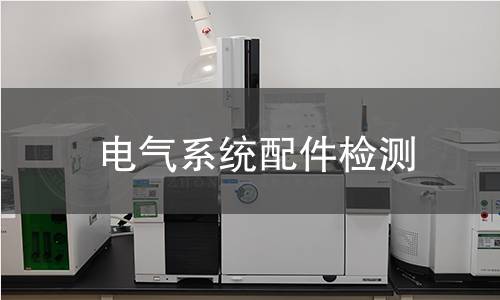 电气系统配件检测