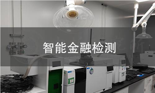 智能金融检测