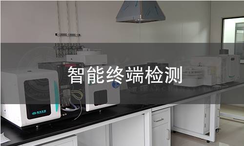 智能终端检测