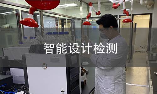 智能设计检测