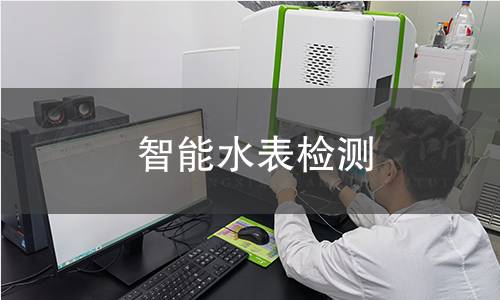 智能水表检测
