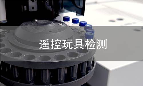 遥控玩具检测