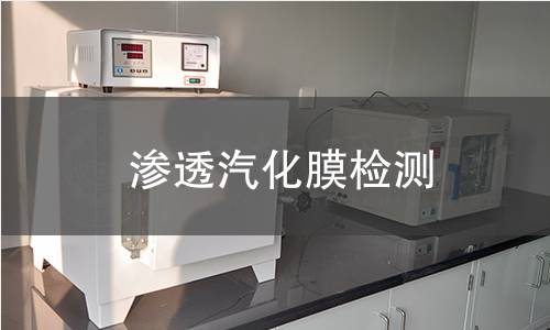 渗透汽化膜检测