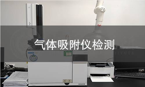 气体吸附仪检测