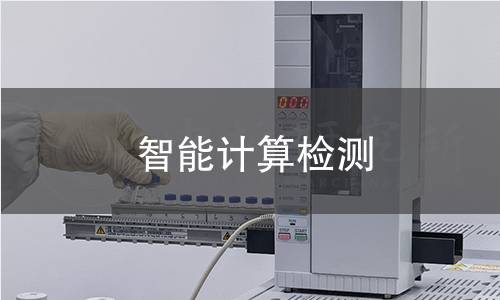 智能计算检测