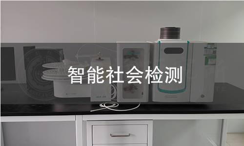 智能社会检测