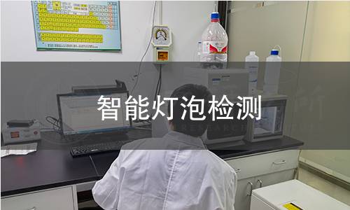 智能灯泡检测