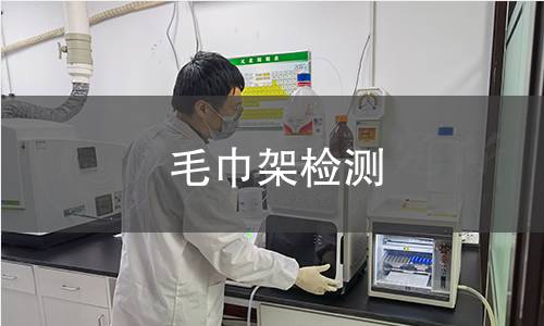 毛巾架检测
