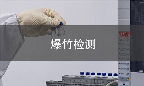 爆竹检测