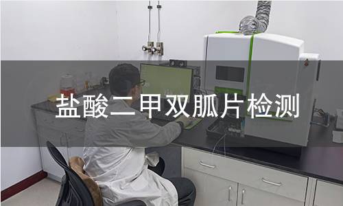 盐酸二甲双胍片检测