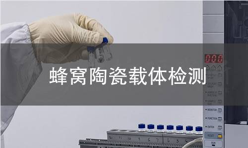 蜂窝陶瓷载体检测