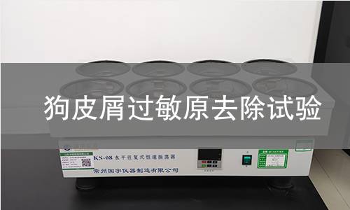 狗皮屑过敏原去除试验