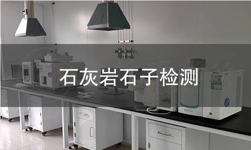 石灰岩石子检测