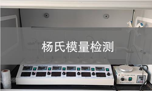 杨氏模量检测