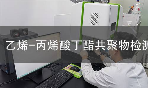 乙烯-丙烯酸丁酯共聚物检测