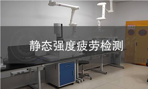 静态强度疲劳检测