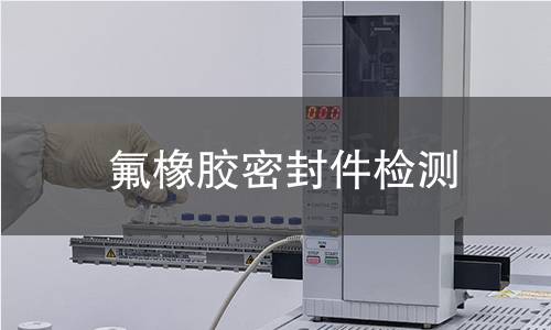 氟橡胶密封件检测