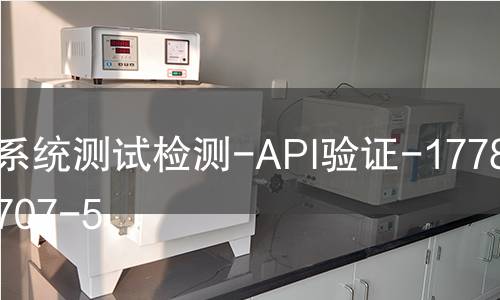 系统测试检测-API验证-1778292707-5