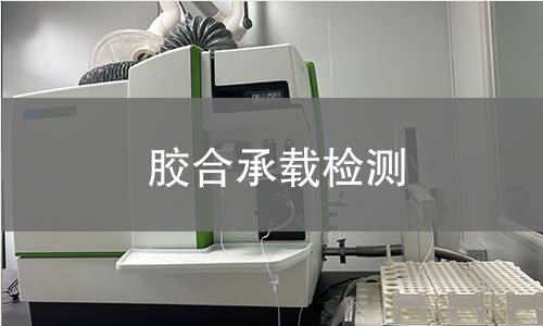 胶合承载检测