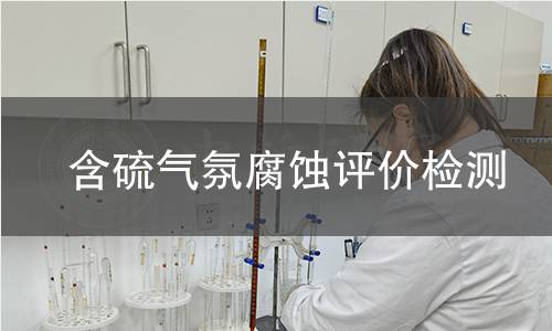 含硫气氛腐蚀评价检测