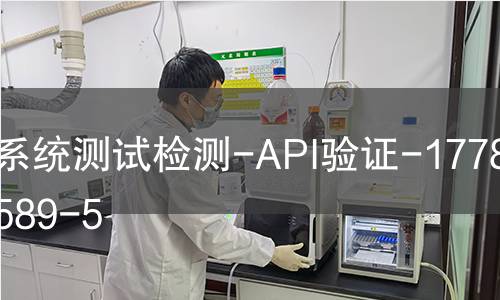 系统测试检测-API验证-1778292589-5