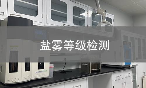 盐雾等级检测