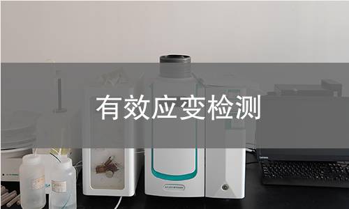 有效应变检测