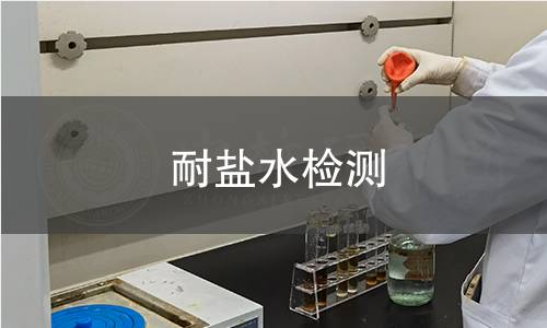 耐盐水检测