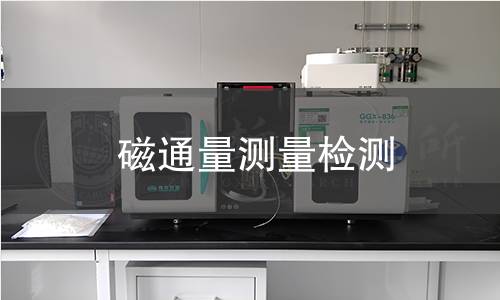 磁通量测量检测