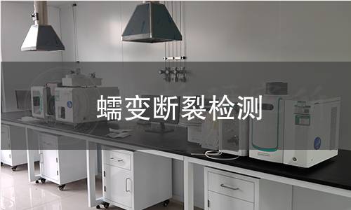 蠕变断裂检测