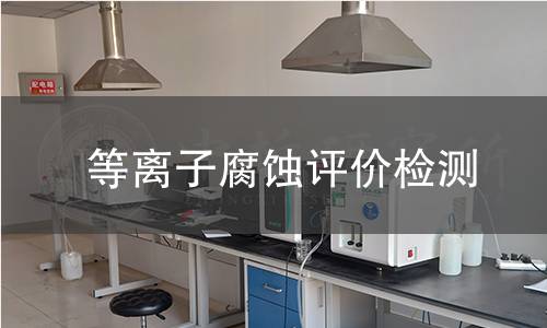 等离子腐蚀评价检测