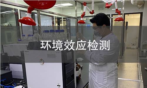 环境效应检测