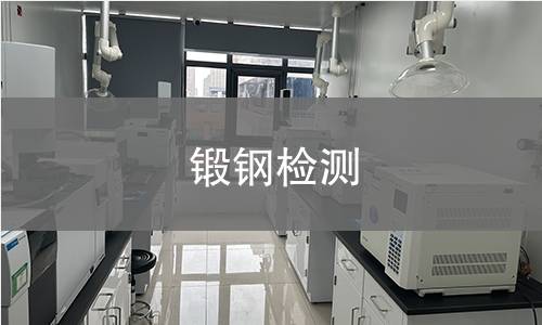锻钢检测
