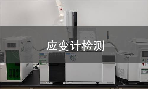 应变计检测