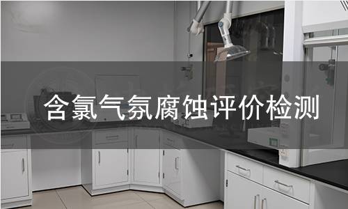 含氯气氛腐蚀评价检测