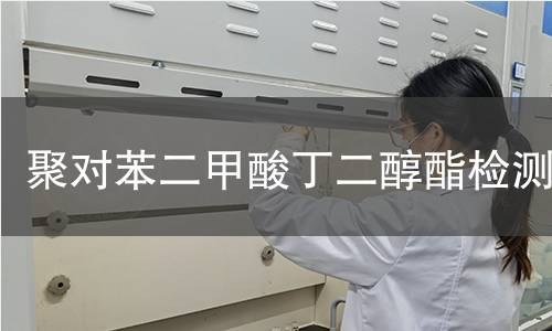 聚对苯二甲酸丁二醇酯检测
