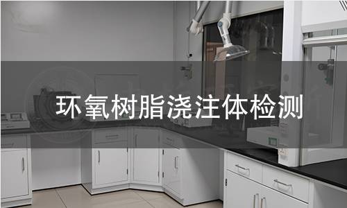 环氧树脂浇注体检测