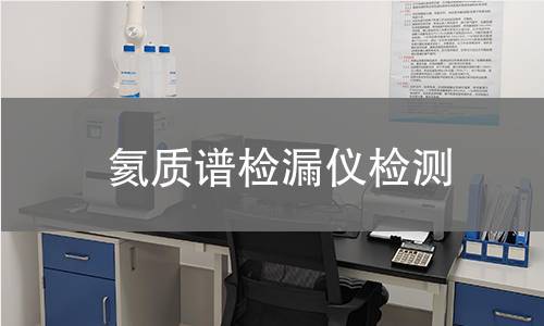 氦质谱检漏仪检测