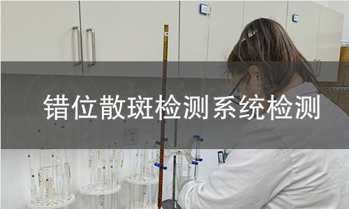 错位散斑检测系统检测