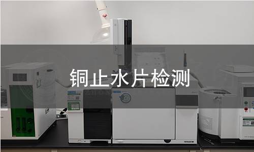 铜止水片检测