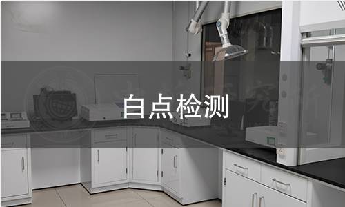 白点检测