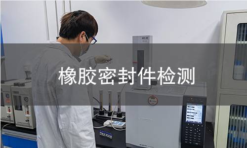橡胶密封件检测