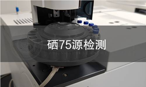 硒75源检测