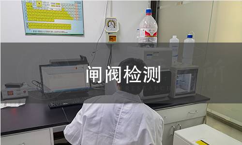 闸阀检测