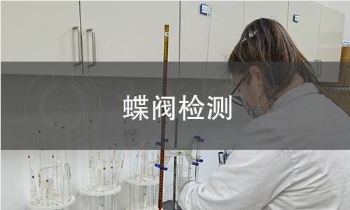 蝶阀检测