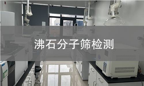 沸石分子筛检测