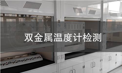 双金属温度计检测