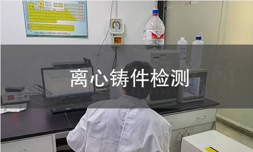 离心铸件检测